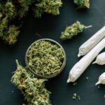 Diverse Methods of Cannabis Consumption and Their Implications