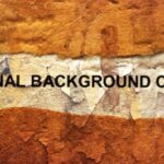 Gaining Insights Into the Importance of Criminal Background Checks on the Workforce