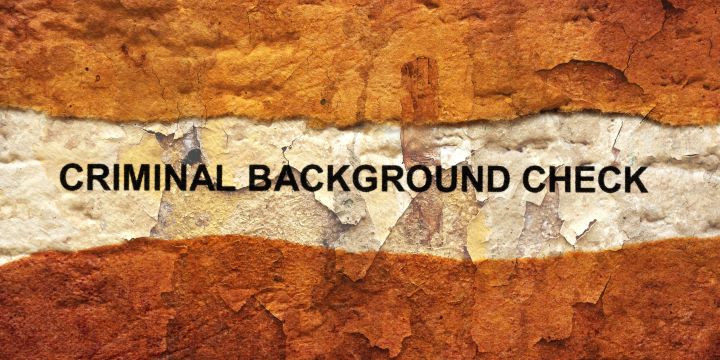Gaining Insights Into the Importance of Criminal Background Checks on the Workforce