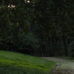 Step By Photo beginner running plan