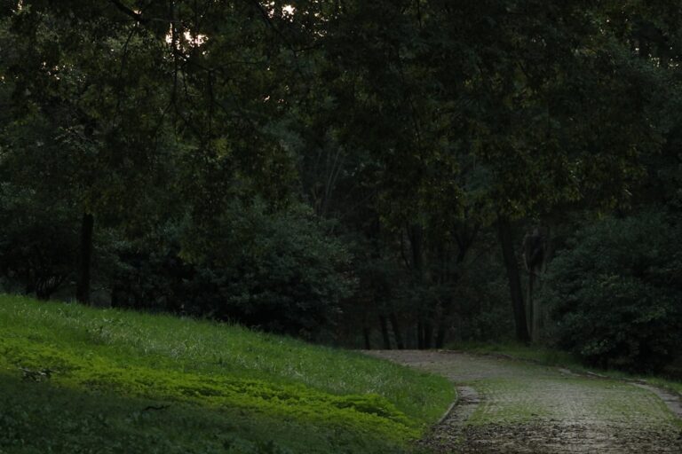 Step By Photo beginner running plan