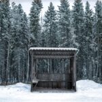 Photo cold plunge sauna