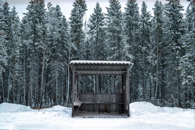 Photo cold plunge sauna